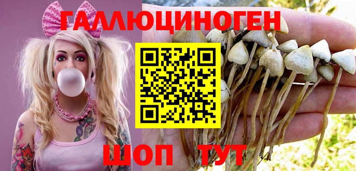 Псилоцибиновые грибы Psilocybe  Вход с VPN  Удомля 